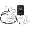 HALTECH Elite 1500 + Mazda RX7 FC3S CAS m. IGN-1A Ignition Terminated Kabelbaum Kit